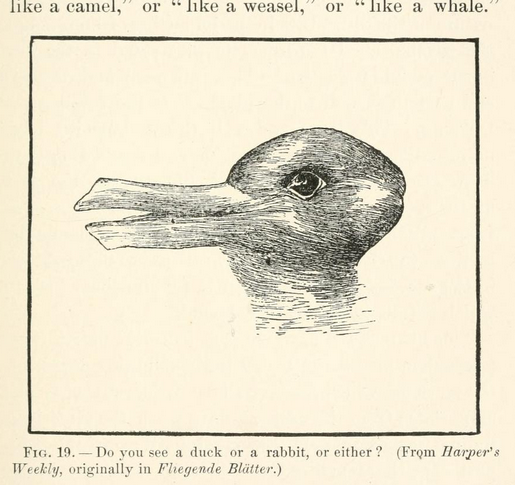 A lithographic drawing of an optical illusion. The figure can be perceived as either a duck with a long beak facing left or a rabbit facing right whose long ears point left. Joseph Jastrow (1901) used the popular image of a “duck-rabbit” to demonstrate that one’s mind supplies a frame to interpret visual stimuli (p. 295). Whether you see a duck or a rabbit depends on what you project onto the image, and one can switch from one frame to another. There is no way to view the image objectively.