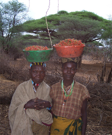 Hadza women after foraging for berries. Hadza have no indications of malnutrition.