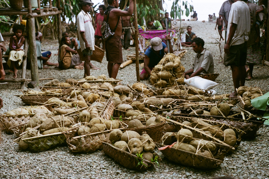 A collection of baskets of yams (Dioscorea alata) brought to an event in Tupwagidu, an Auhelawa village on Normanby Island, Papua New Guinea in 2004.